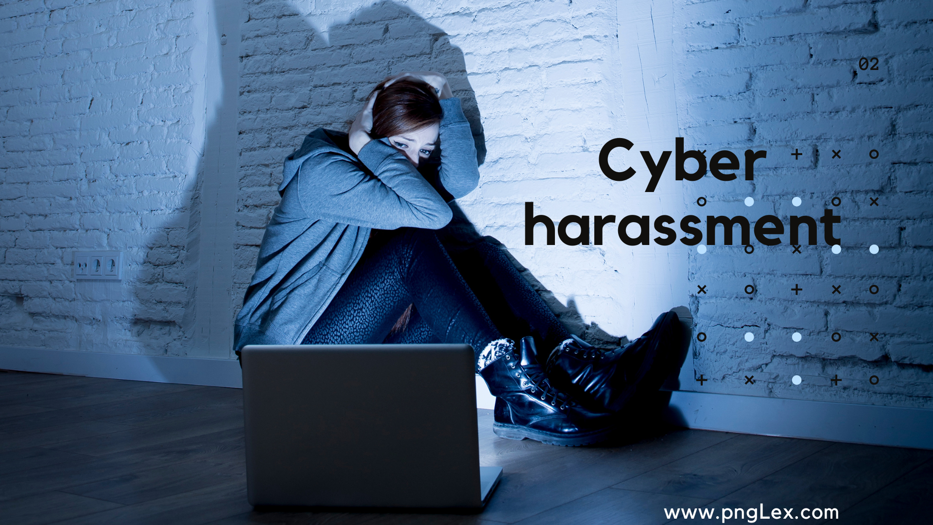 Cyber Harassment