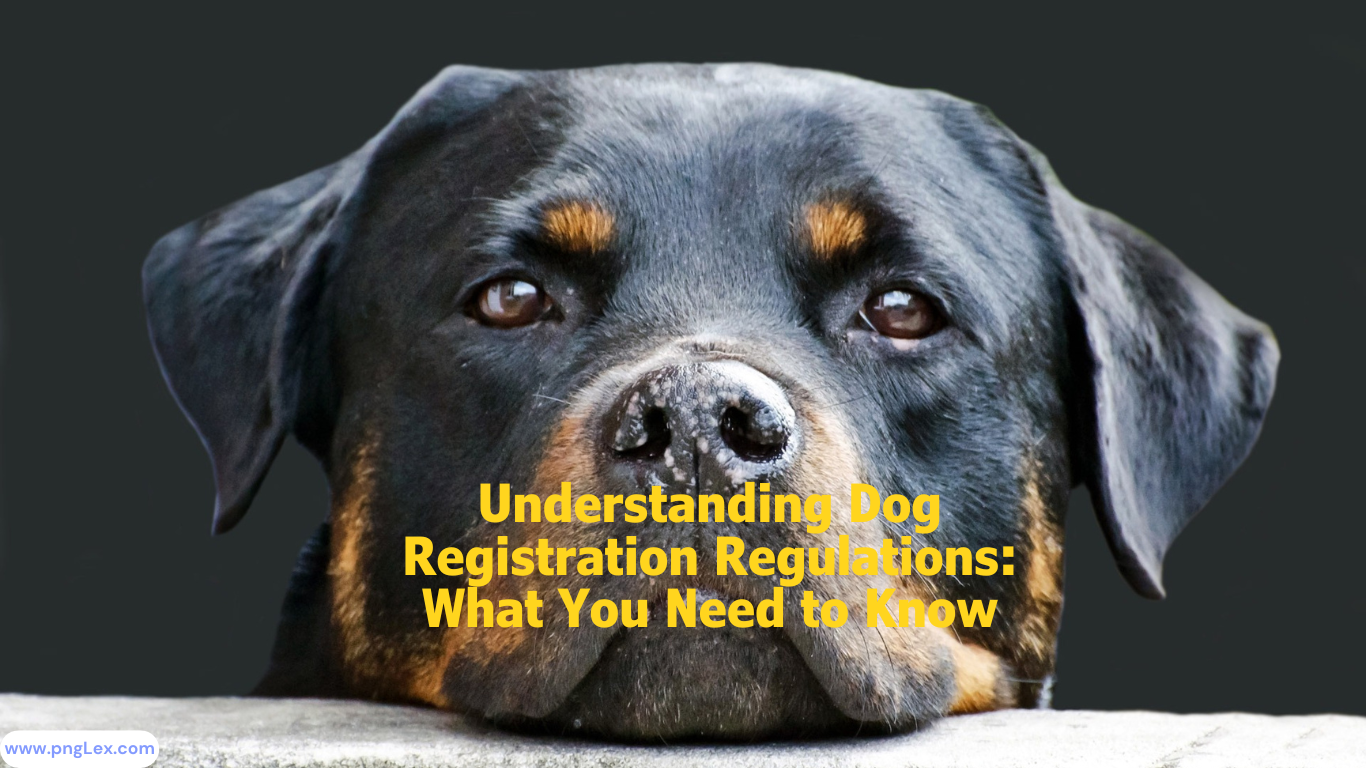 Understanding Dog Registration Regulations: What You Need to Know