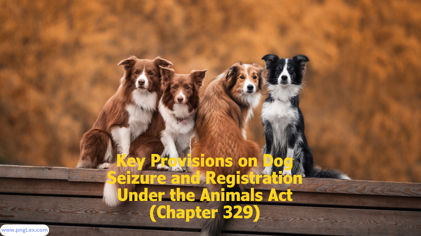 Key Provisions on Dog Seizure and Registration Under the Animals Act (Chapter 329)