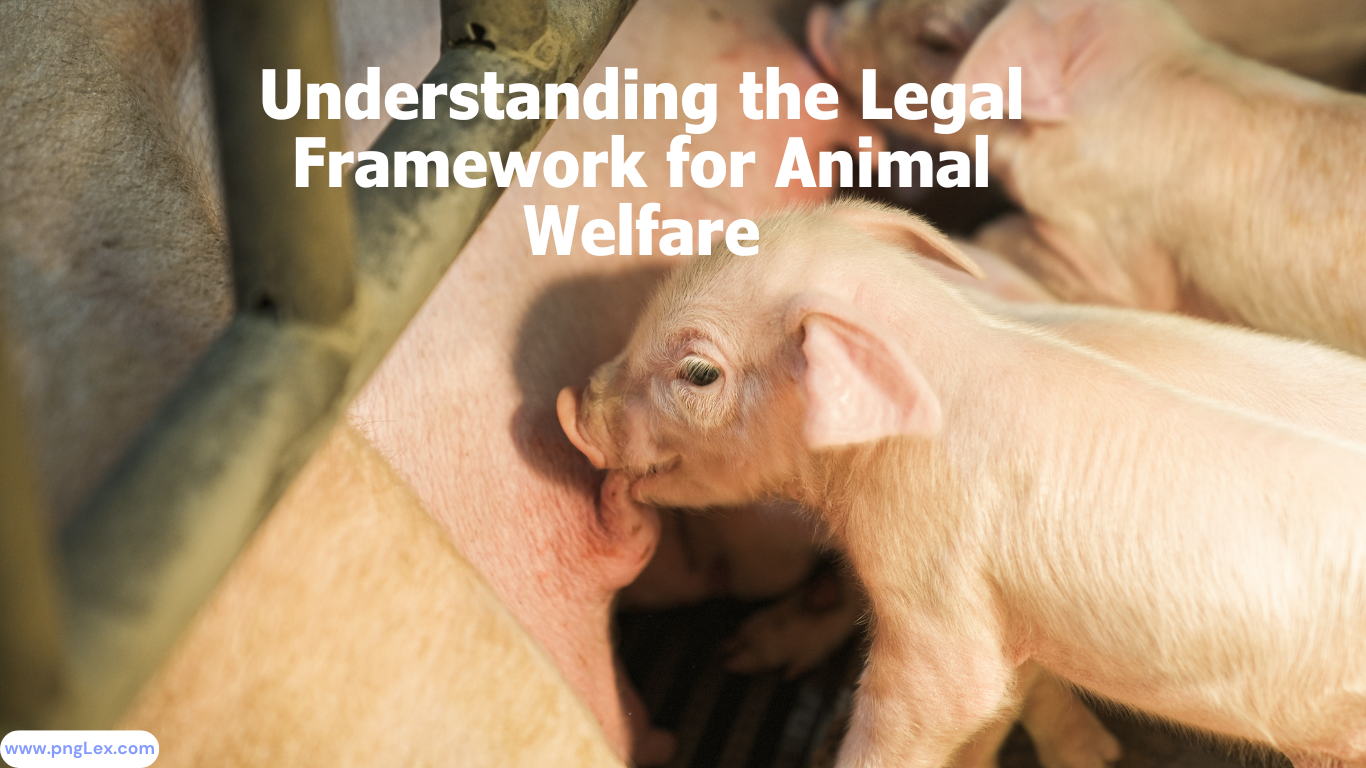 Understanding Animal Welfare: Key Provisions on Neglect and Access to Food