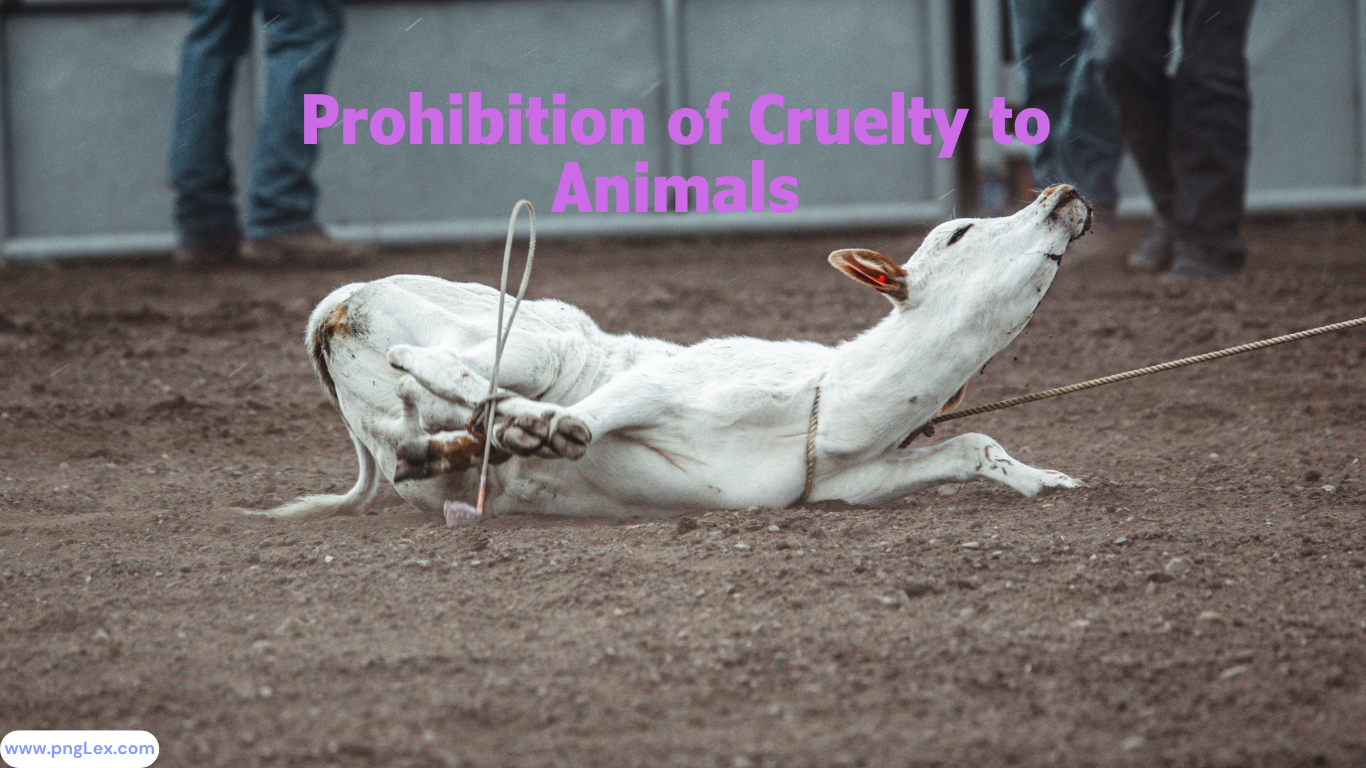 Prohibition of Cruelty to Animals