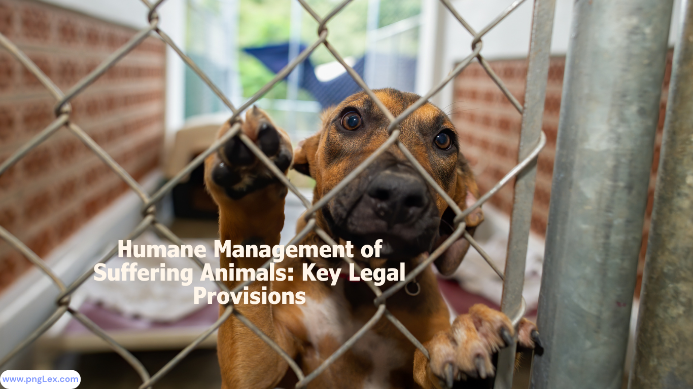 Humane Management of Suffering Animals: Key Legal Provisions