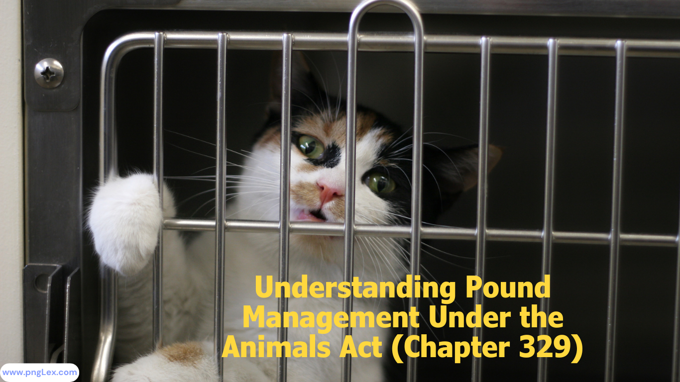 Understanding the Impoundment Process Under the Animals Act (Chapter 329)